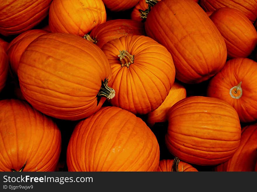 Winter Squash, Local Food, Vegetable, Cucurbita