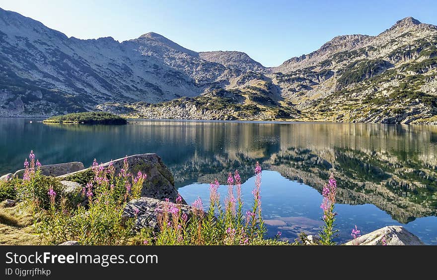 Reflection, Nature, Wilderness, Lake