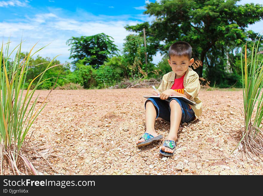 Plant, Child, Grass, Tree