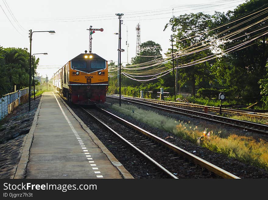 Track, Transport, Rail Transport, Train