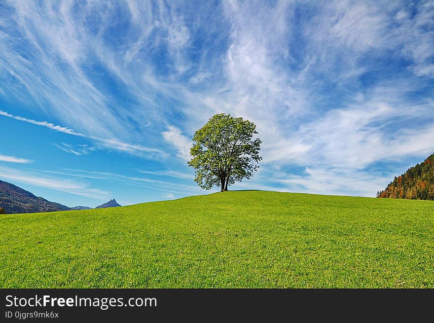 Sky, Grassland, Nature, Cloud