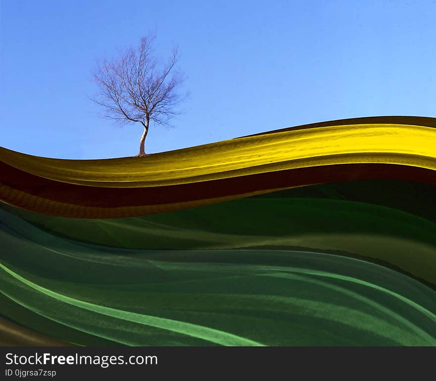 Green, Yellow, Sky, Leaf