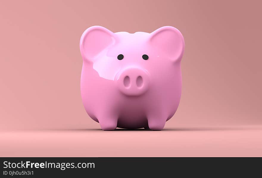 Pink, Piggy Bank, Close Up, Snout