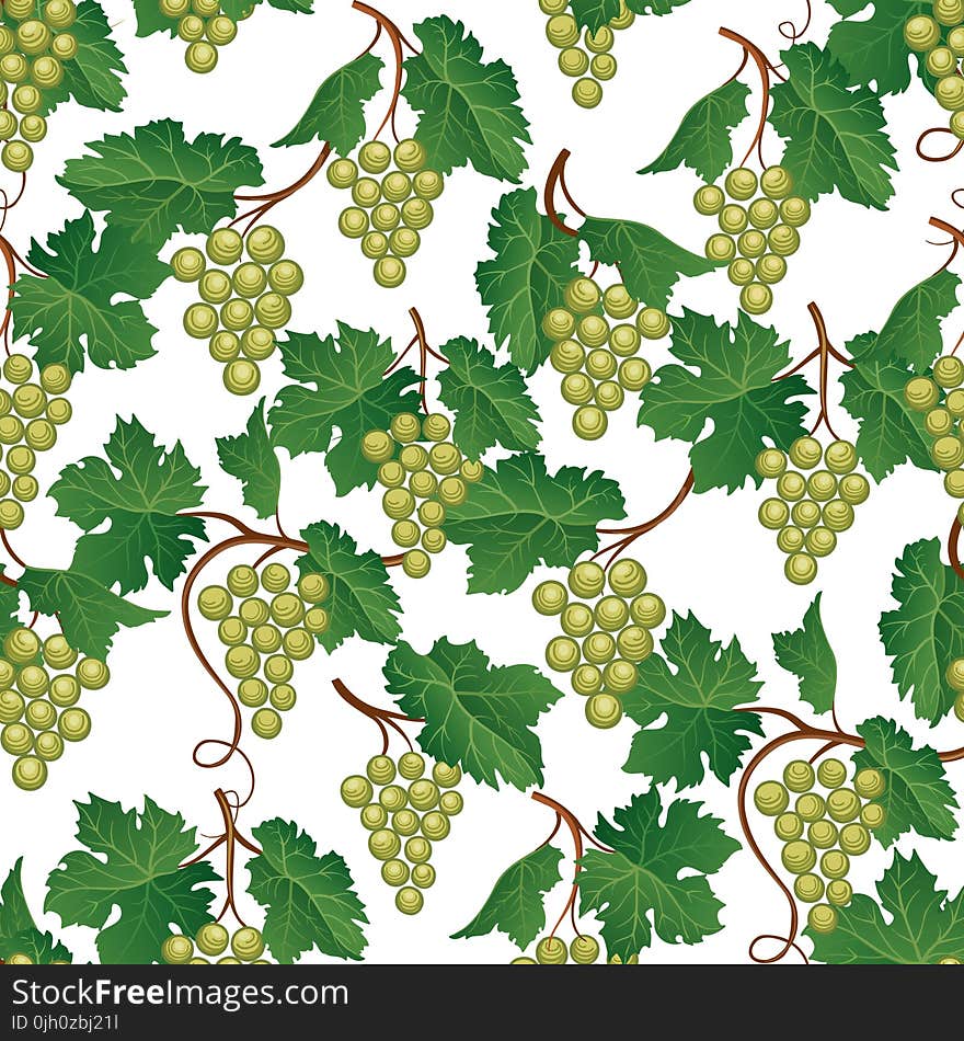 Grape seamless pattern. Wine yard natural fruit food background