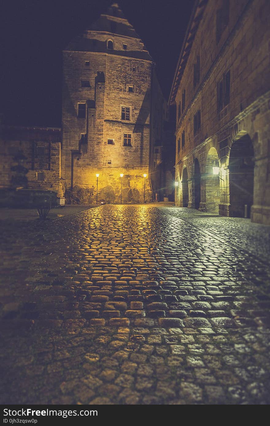 Clear Bricks Pathway during Nighttime