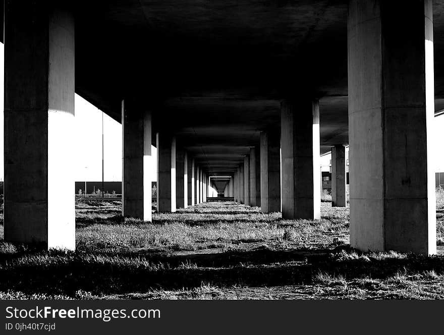 Grayscale Photo Under the Bridge Stand