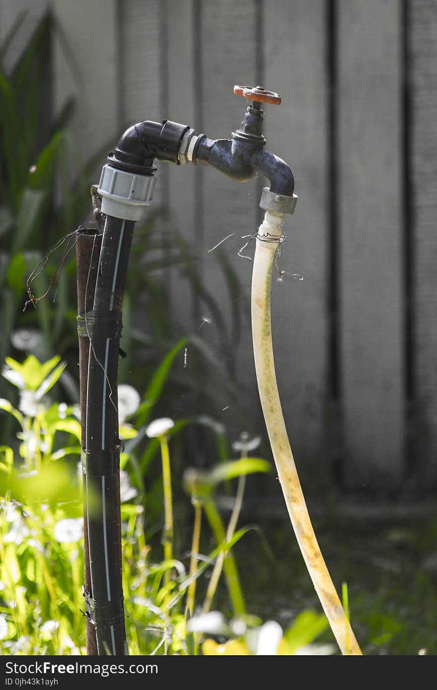 Black Valve Attached to a Hose