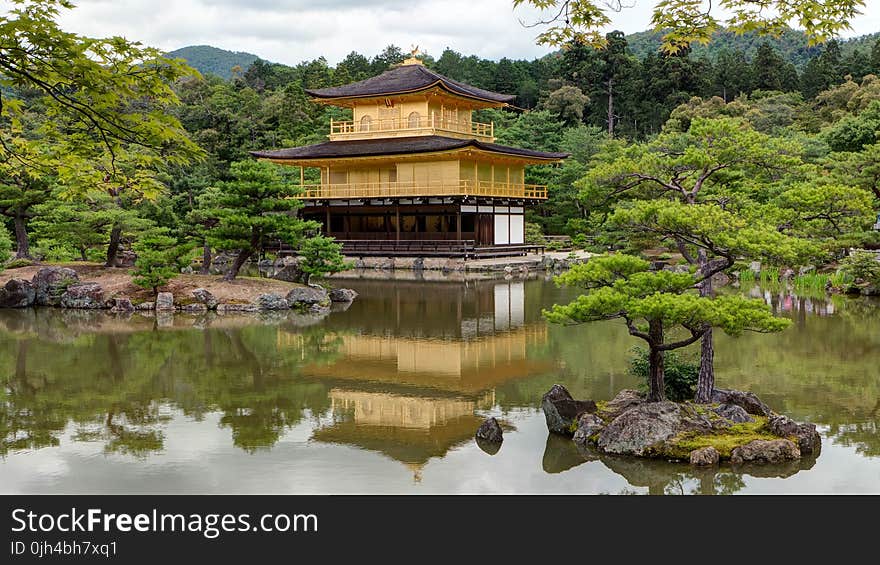 Brown Wooden House Surrounded by Trees Beside Body of Water Under White Sky during Daytime