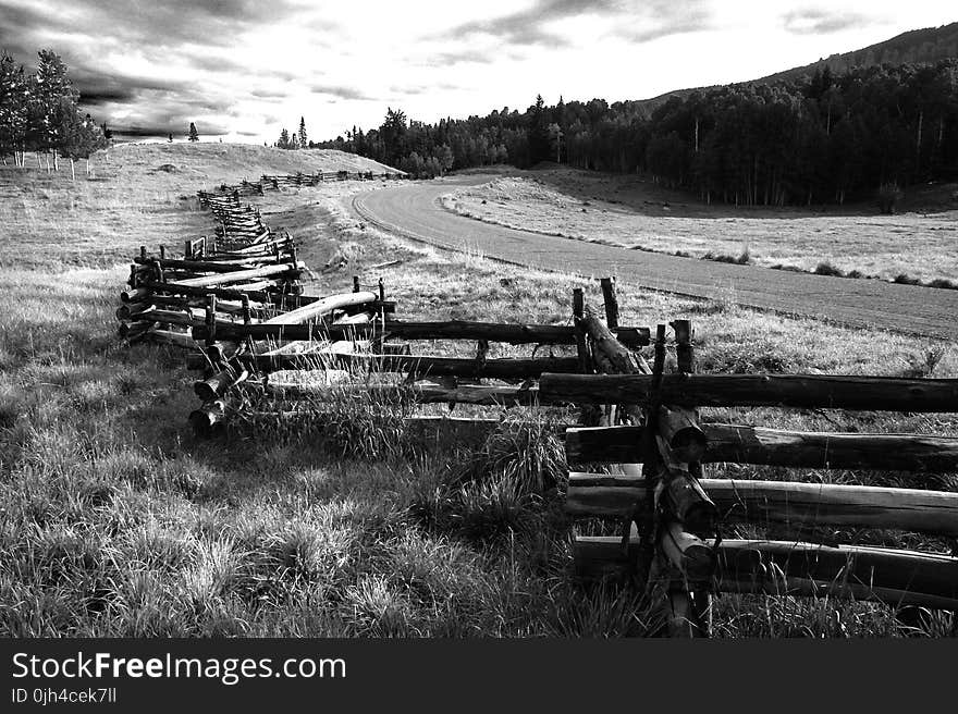 Greyscale Photo of Wooden Fence Near Road