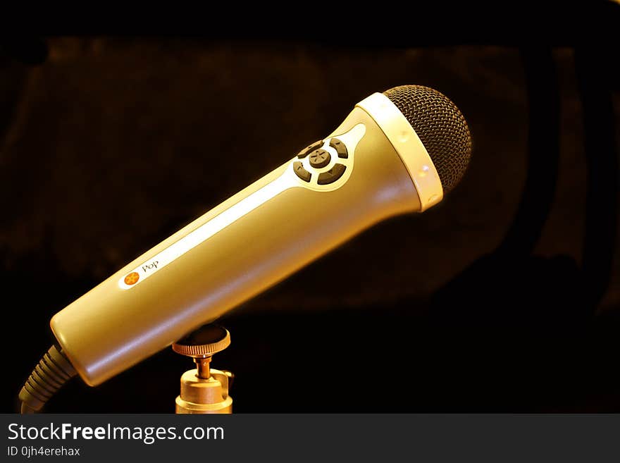 Brown and Silver Microphone