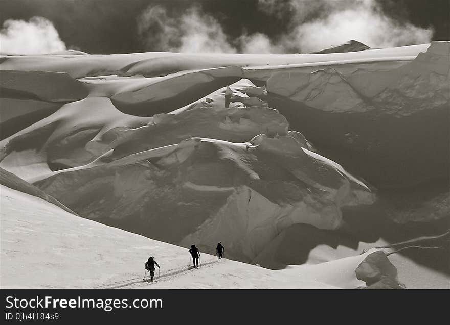 Person Holding Stick in Grayscale Photography