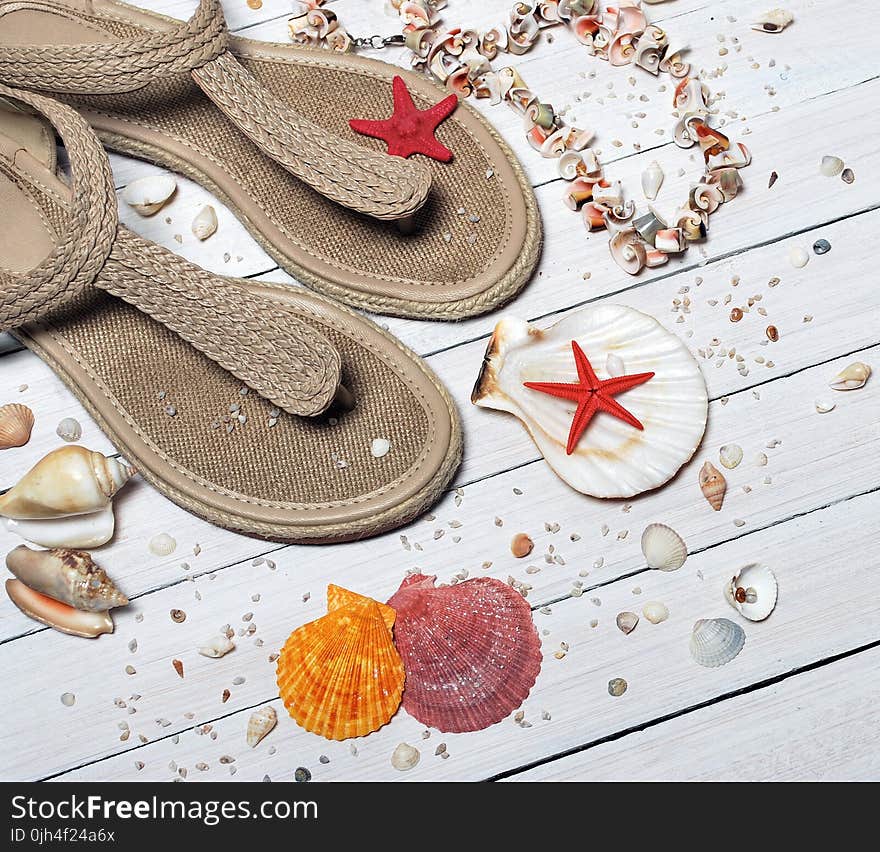 Beige Thong Flat Sandals Placed Beside Seashells