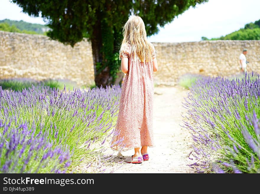 Woman Wearing Pink Maxi Dress Walking Along Unpaved Pathway With Purple Plants Nearby