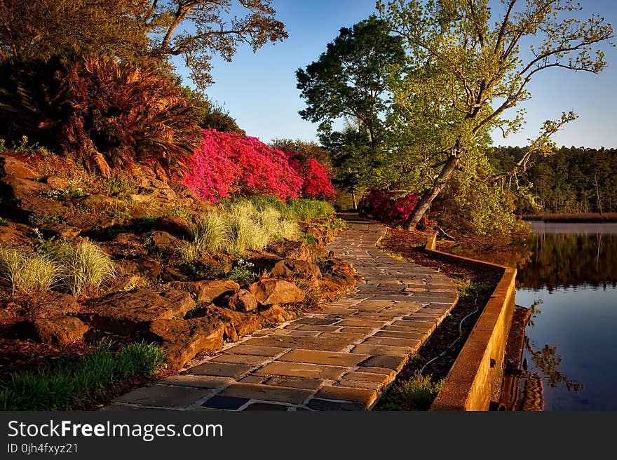 Empty Brown Pathway