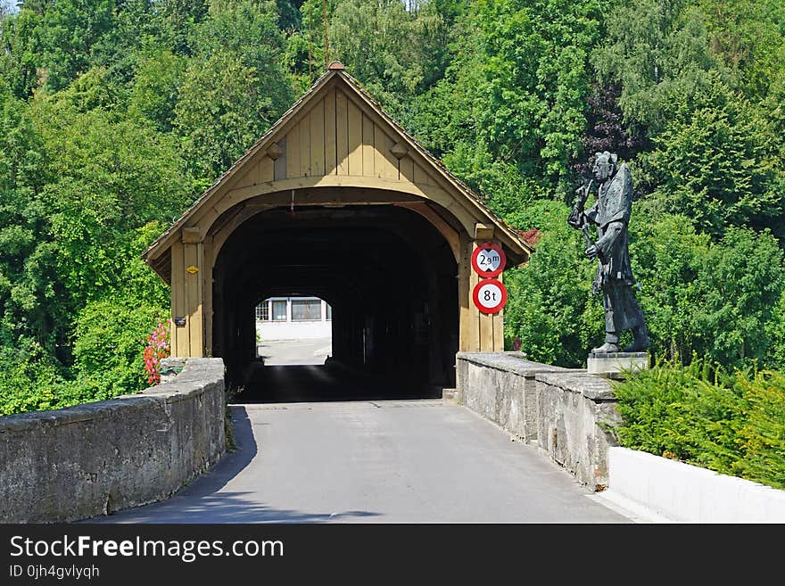 Brown Wooden Tunnel Near Green Trees during Daytime