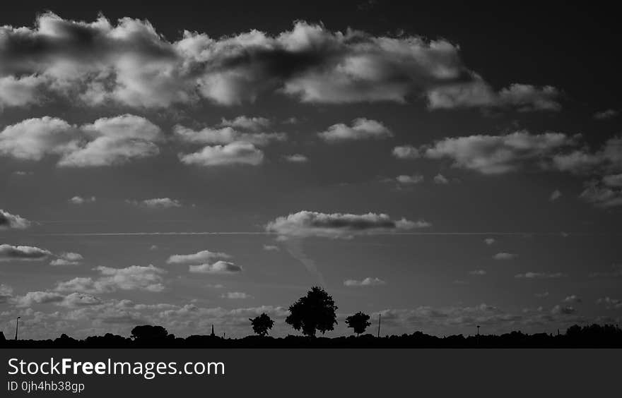 Silhouette of Trees Under Nimbus Clouds during Daytime