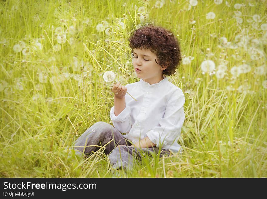 Girl Wearing White Long Sleeve Top Holding White Dandelion Flower during Daytime