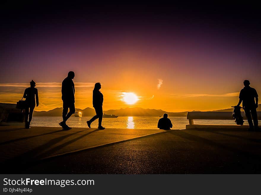 Silhouette Photography of People Near Body of Water