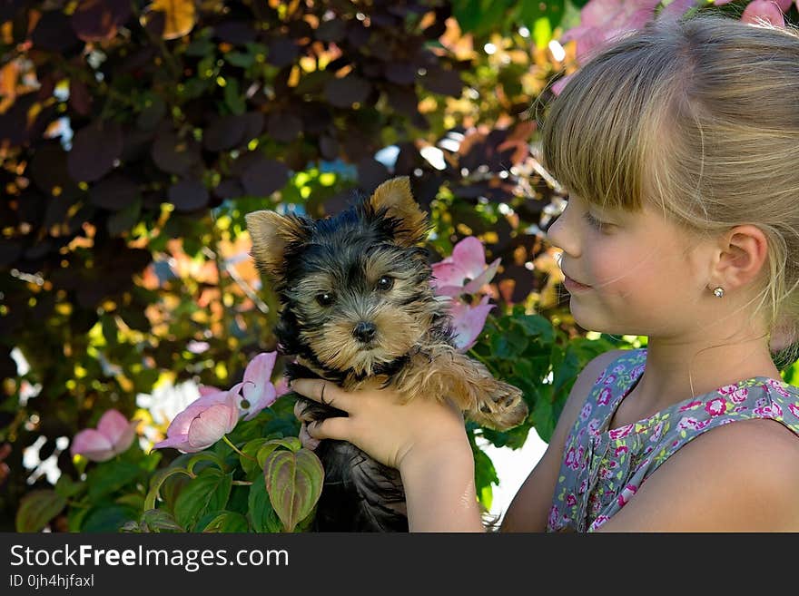 Girl Holding Black and Brown Short Coated Dog