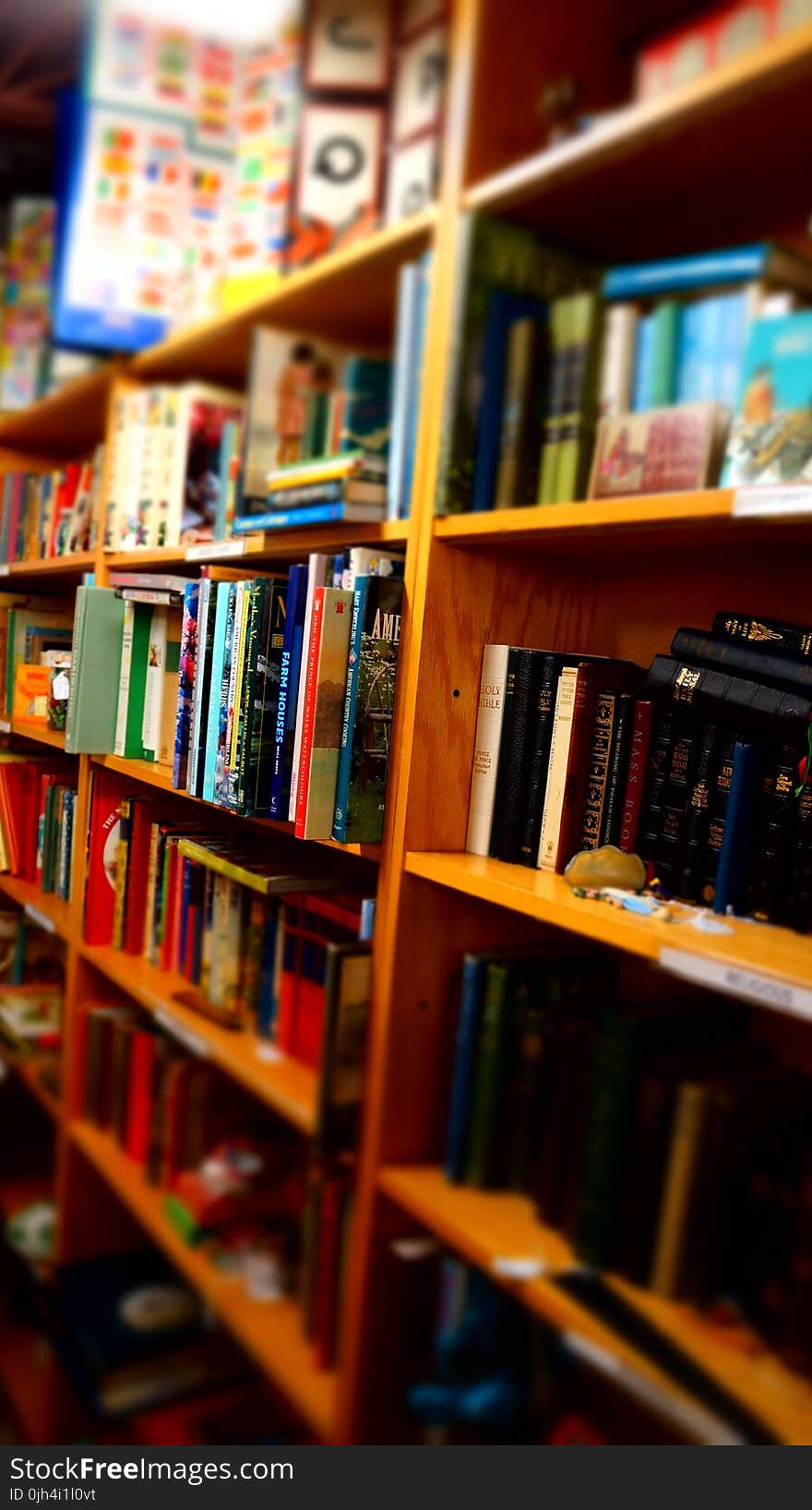 Books in Brown Wooden Shelf Indoors