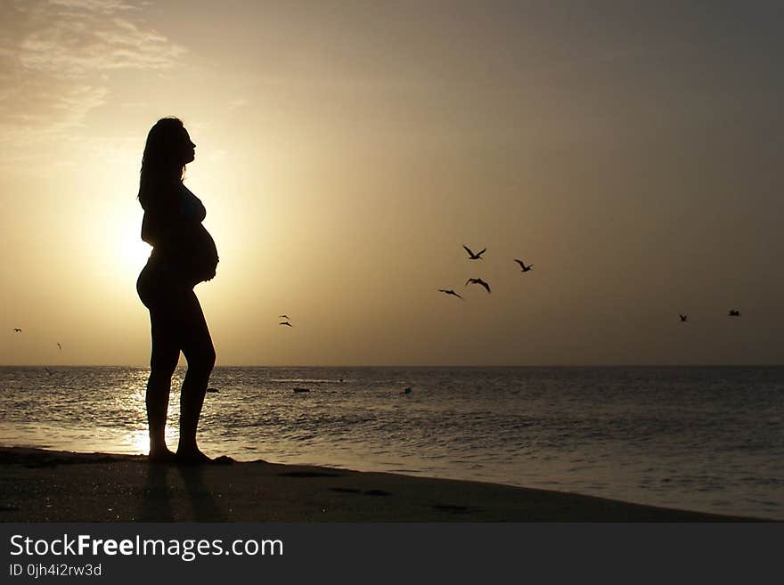 Silhouette of Pregnant Standing on Seashore during Golden Hour