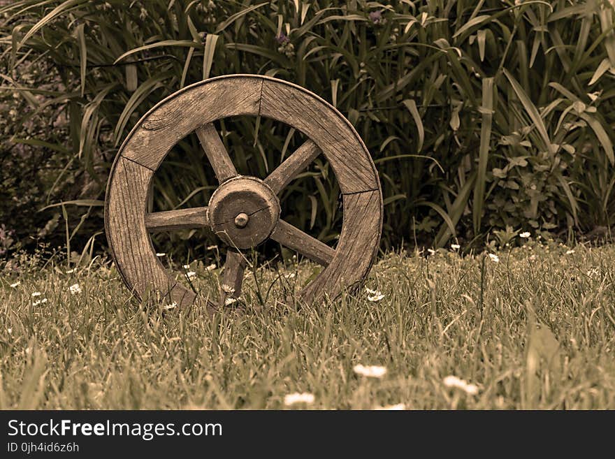 Brown Wooden Wheel on Top of Green Grass