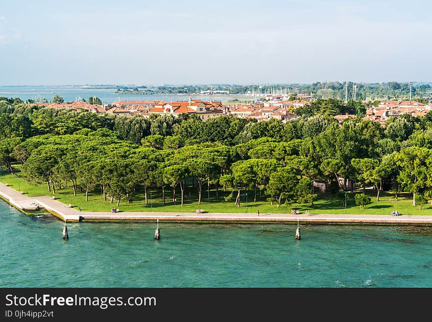 Green Leaves Trees on Green Grass Field in Front of Body of Water over White Sky during Daytime