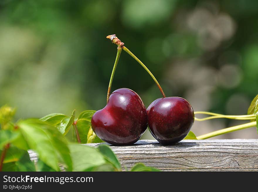 Close Up Photography of a Red Cherry Fruit