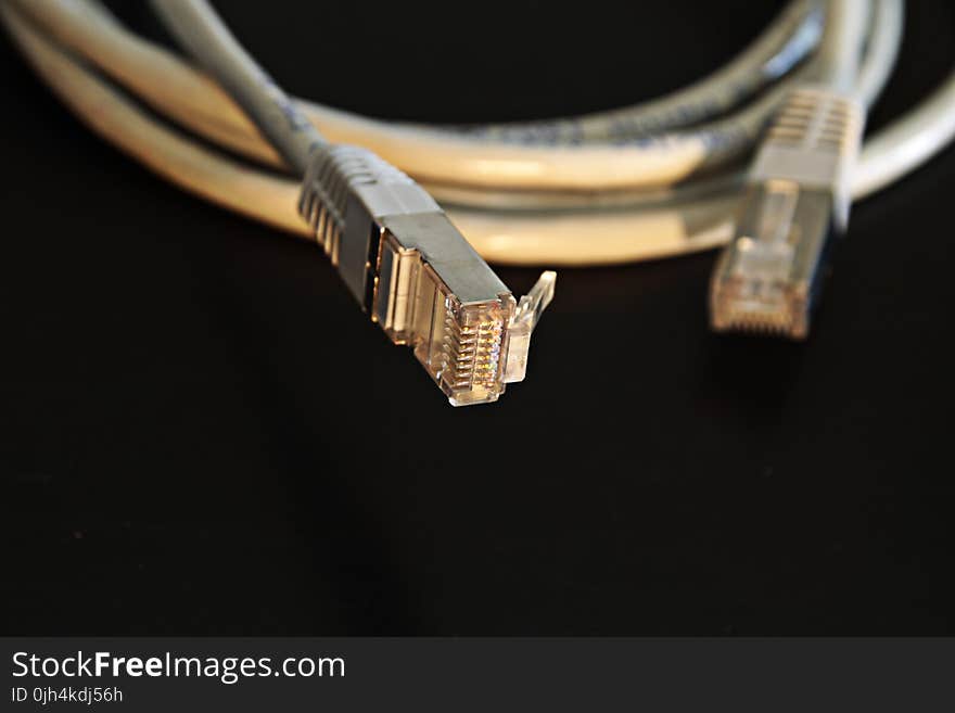 Closeup Photography of Lan Cable