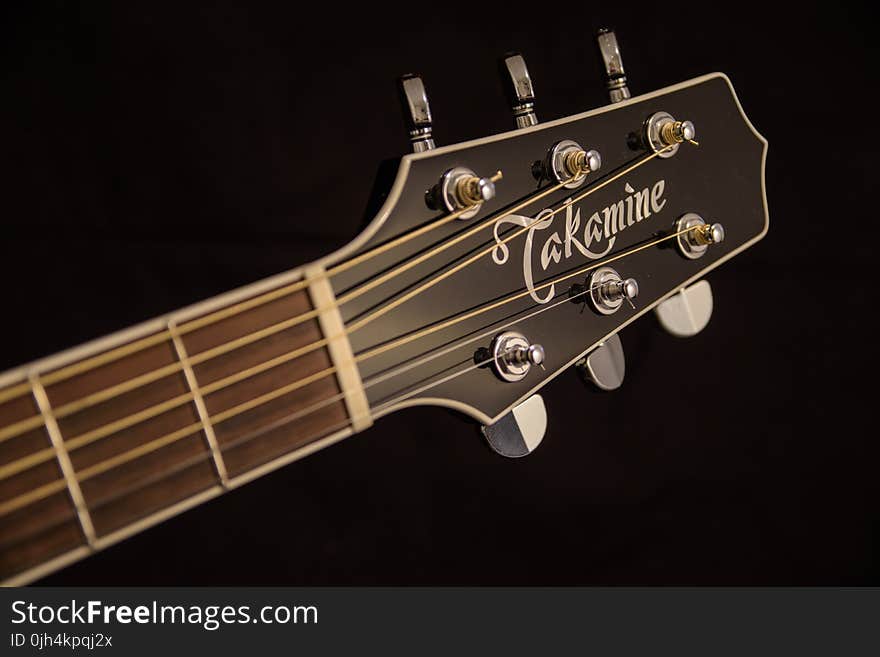 Brown and Black Takamine Guitar Headstock