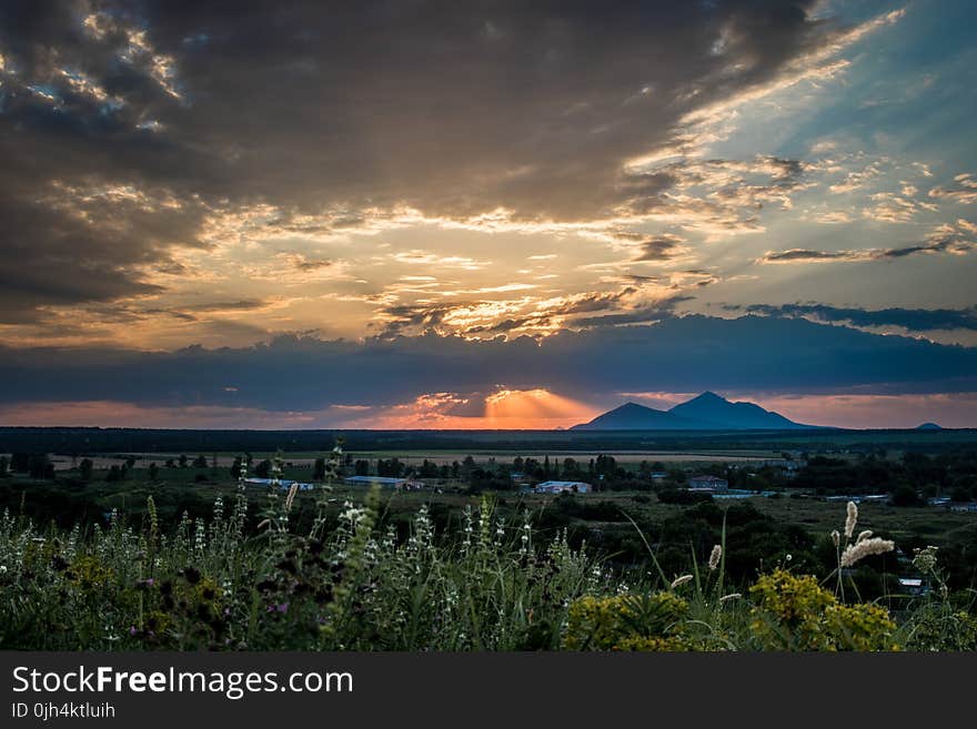 Nature&#x27;s Photography of Green Grass Filed and Mountain