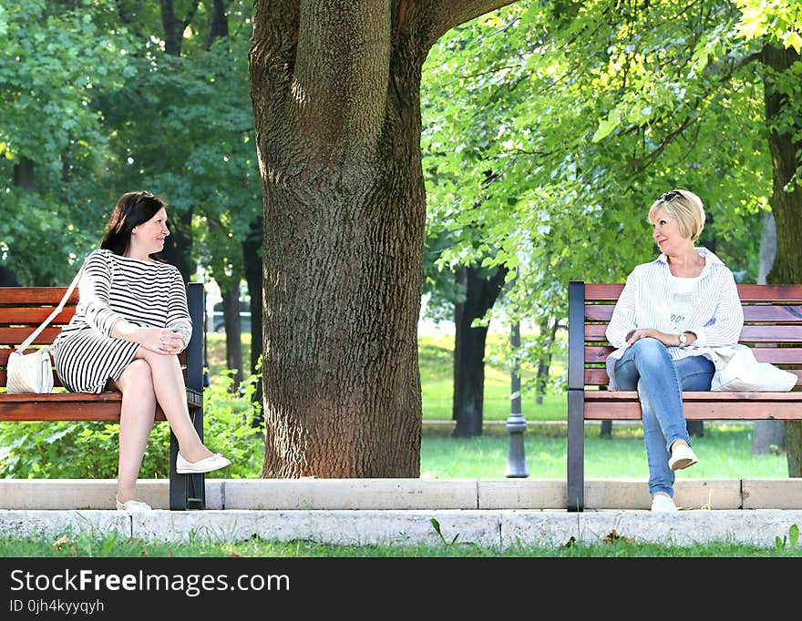 2 Woman Sitting in the Different Bench Chair Near Tree in the Park during Daytime