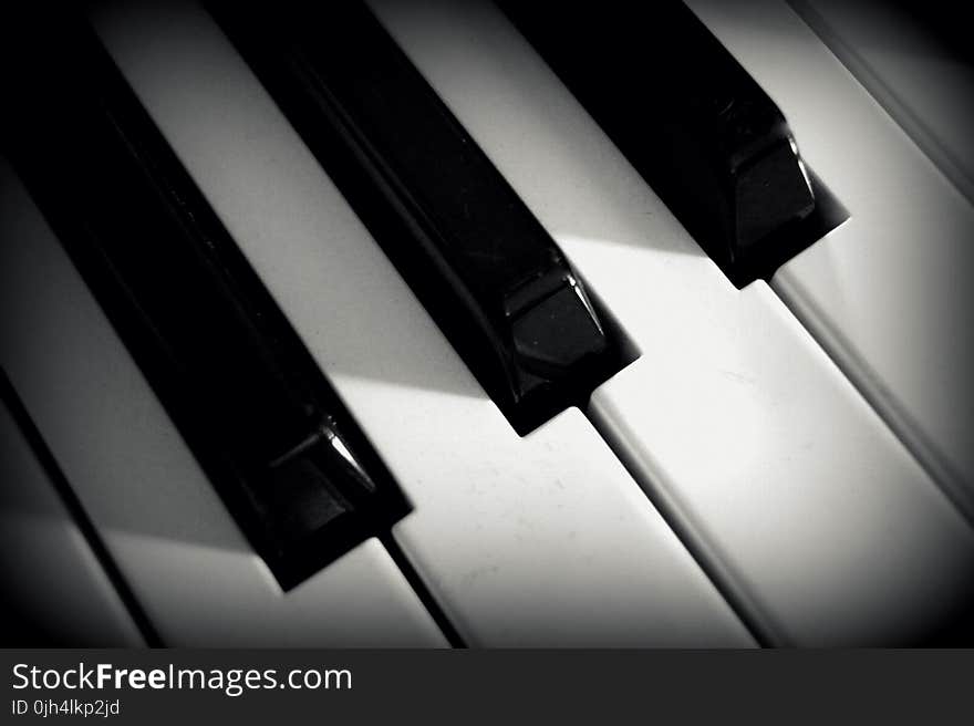 Close Up Photo of Piano Keys