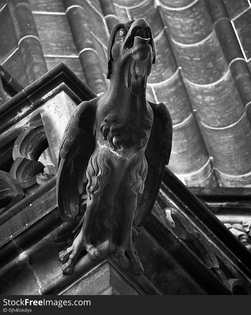 Grayscale Representation of a Bird Statue