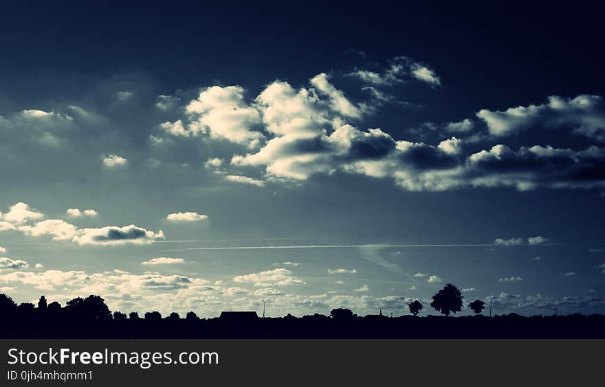 Silhouette of Trees Under Cloudy Sky