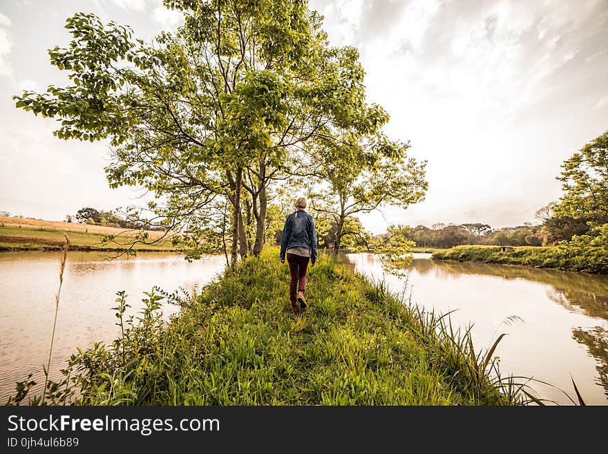 Person in Blue Denim Jacket and Brown Pants Standing on Green Grass in Front Green Leaved Trees Between River Under Sunny Sky