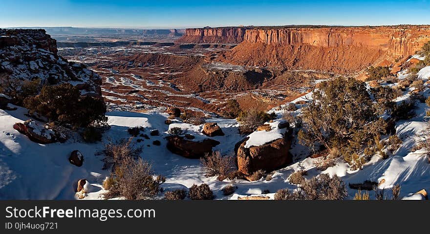 Green Bush on Snowy Mountain