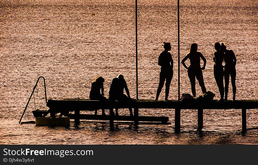 Silhouette of 6 Person on Dock Near the Calm Body of Water