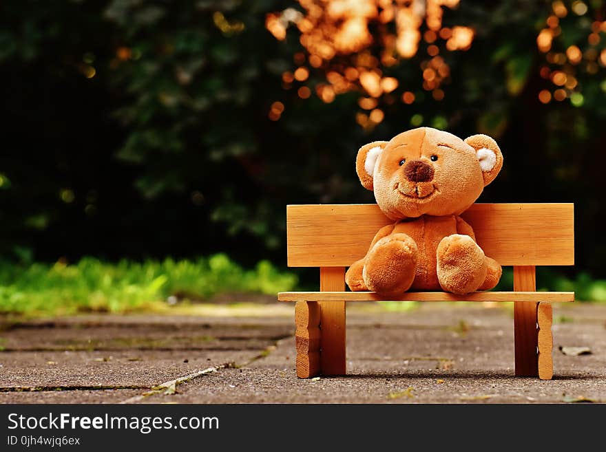 Brown Teddy Bear on Brown Wooden Bench Outside