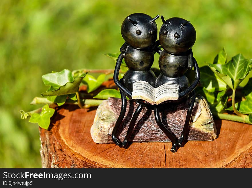 Shallow Focus Photography of Couple Ants Holding Book Figurine