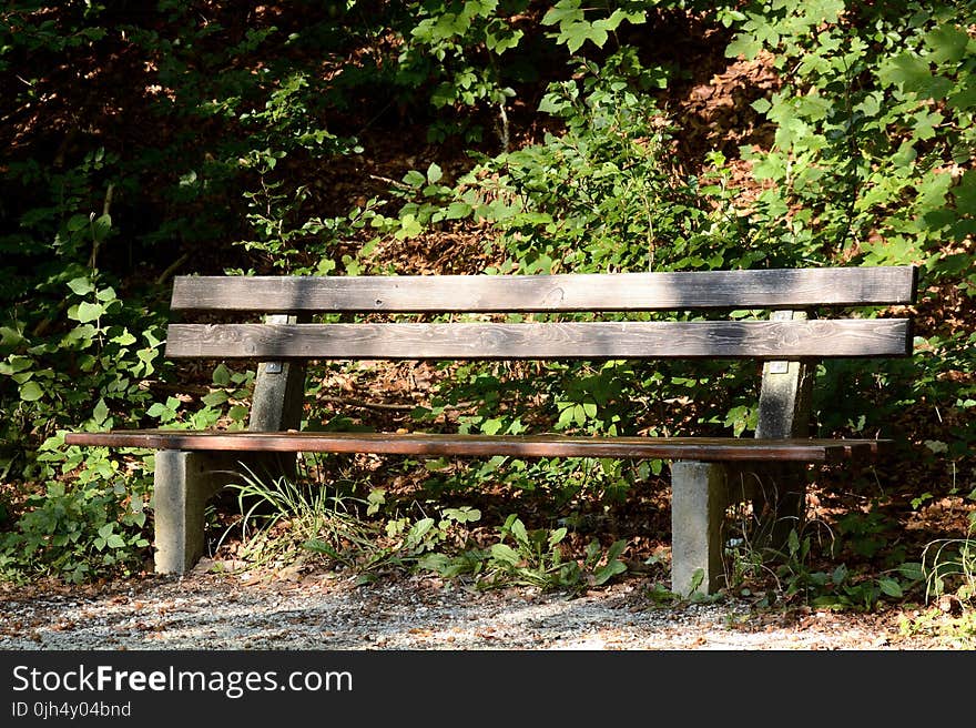 Brown Wooden Outdoor Bench during Day Time