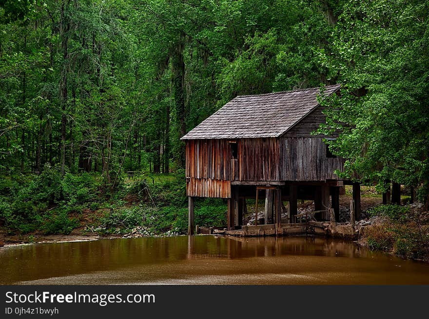 Brown Wooden Shed Surrounded by Trees