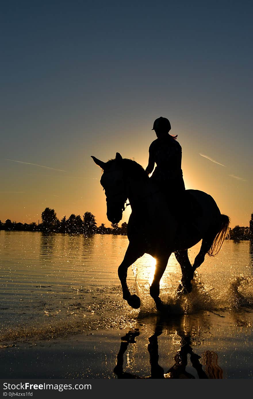 Silhouette of Person Riding Horse on Body of Water Under Yellow Sunset