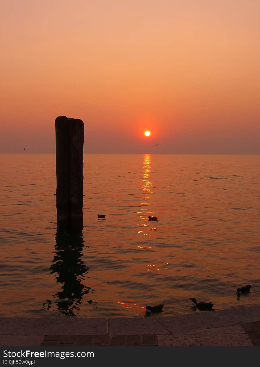 Duck on Body of Water Silhouette of Black Pillar during Golden Hour