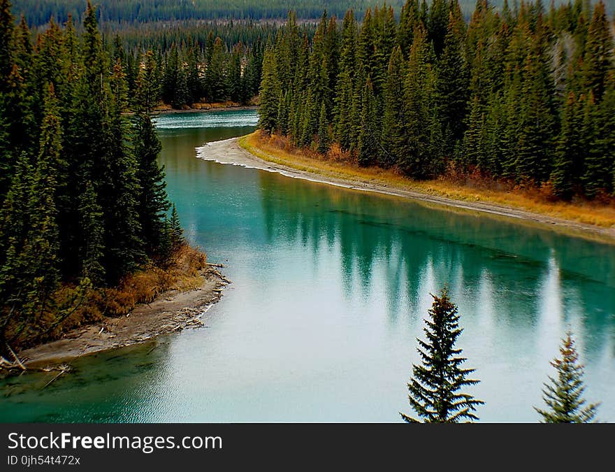 Green Trees Surrounding Lake