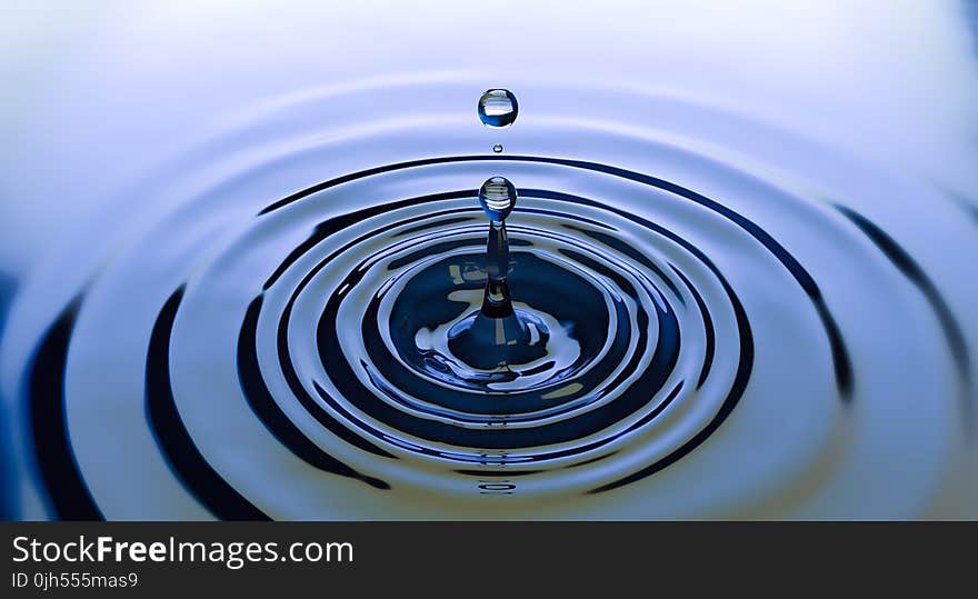 Water Drop Photo