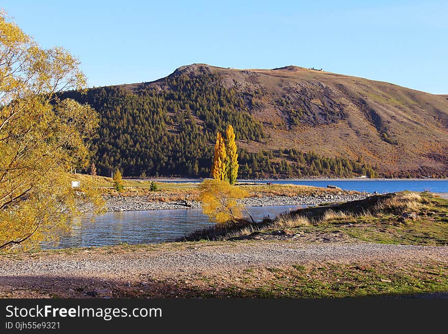 Yellow Tree on Lake With Brown Mountain Background Photo