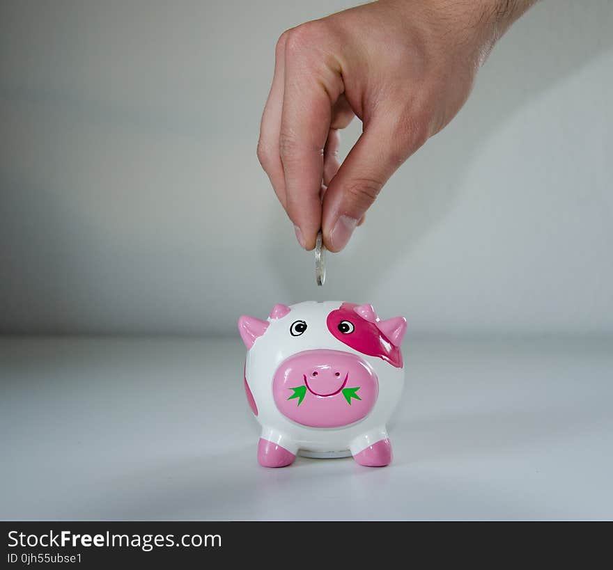 Pink and White Ceramic Pig Coin Bank