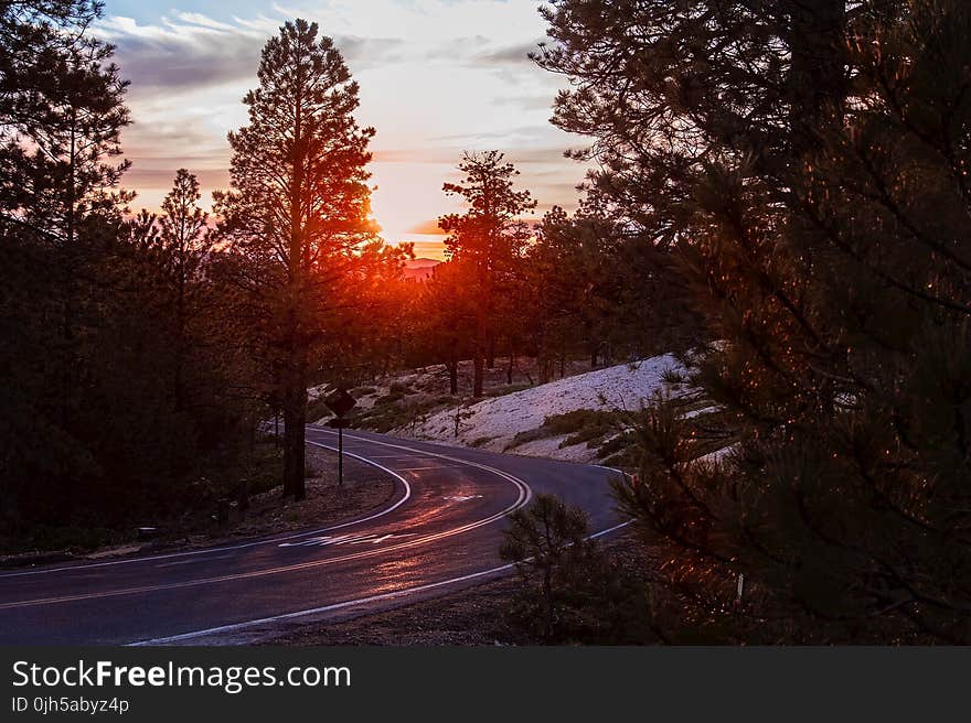 Road Amidst Trees Against Sky during Sunset