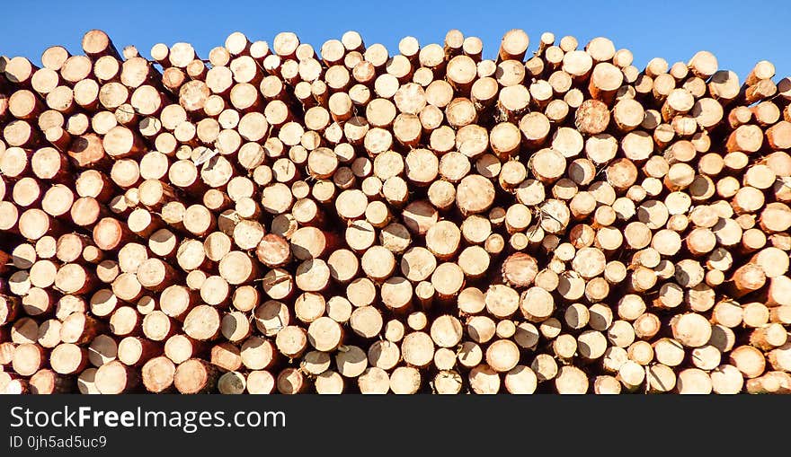 Stack of Firewood